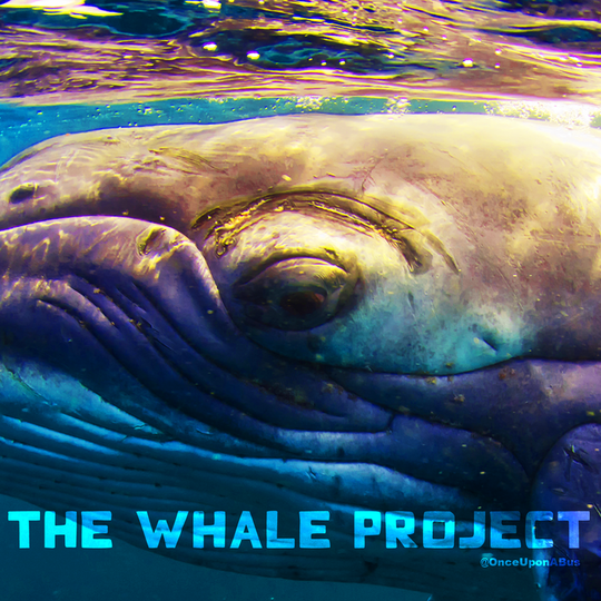 The Whale Project at Once Upon a Bus